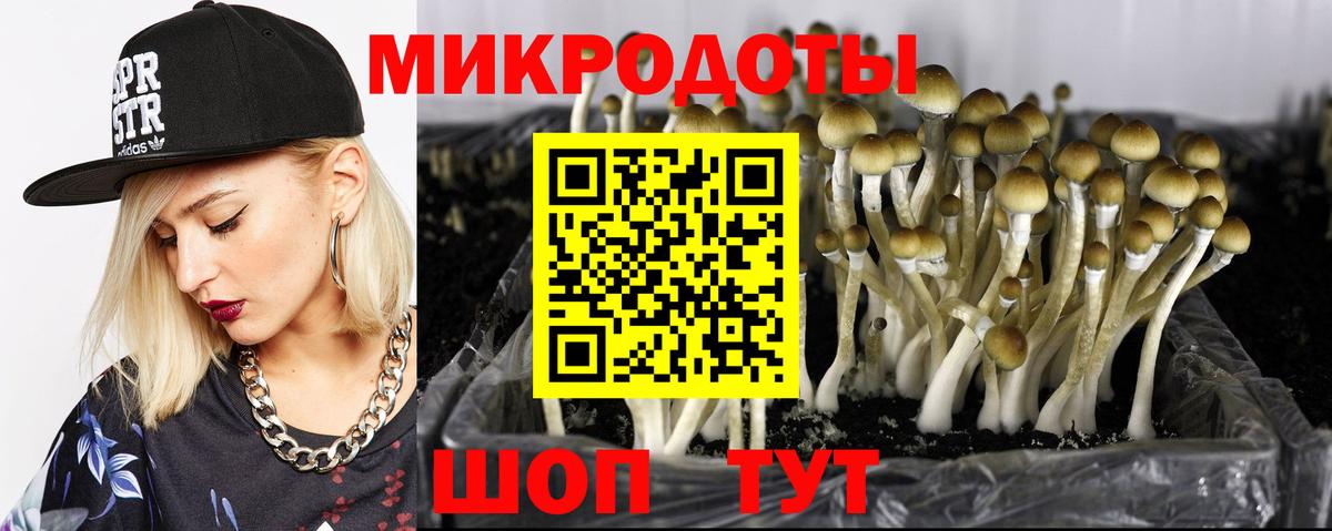 Галлюциногенные грибы GOLDEN TEACHER Чайковский