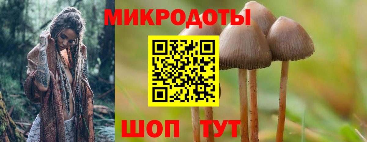 Чайковский  Галлюциногенные грибы Cubensis  Галлюциногенные грибы MAGIC MUSHROOMS  Вход с VPN 